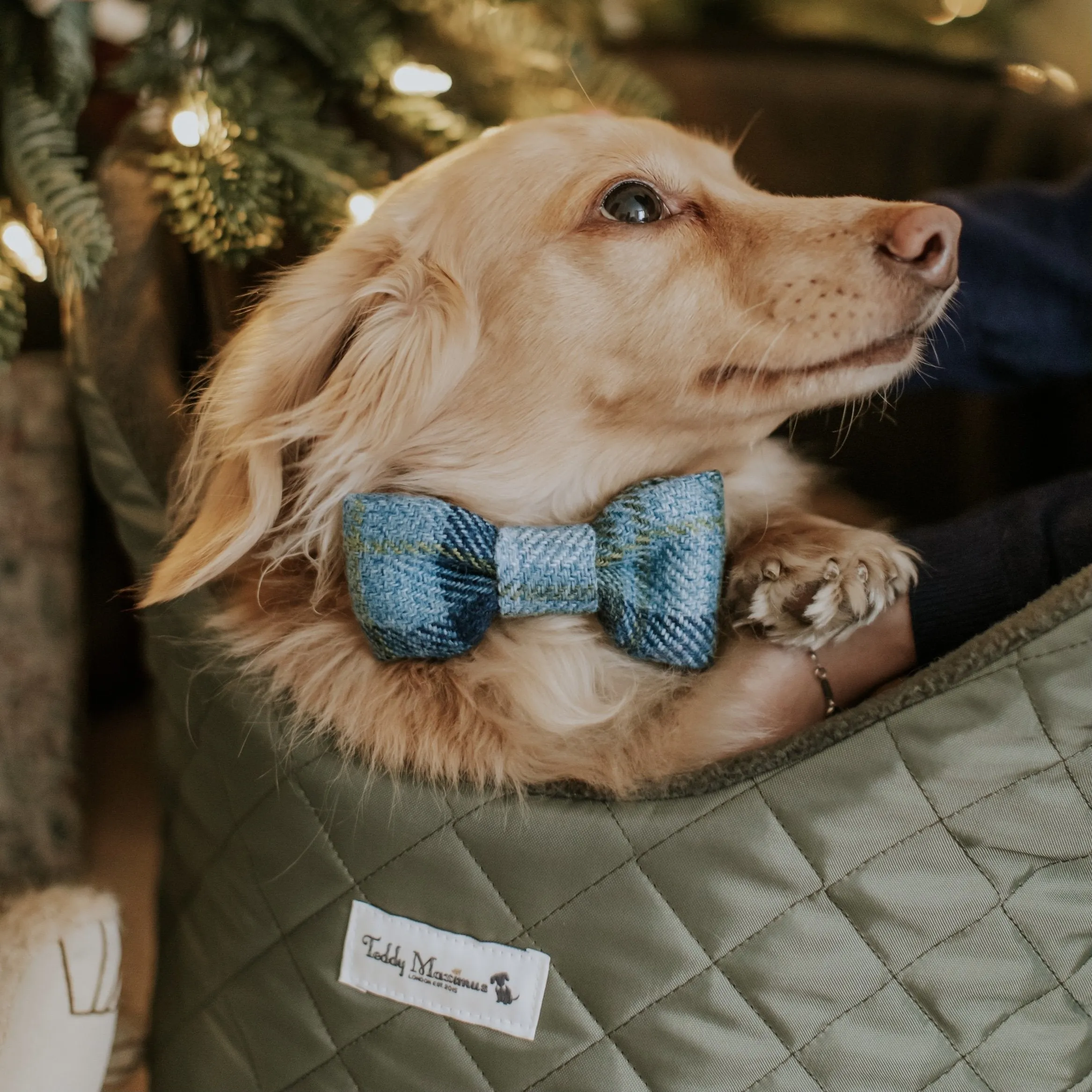 Cotswold Blue Plaid Bow Tie