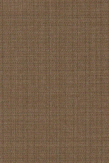 Tan Suit